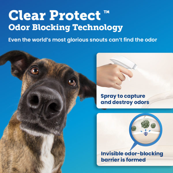how Apply Guard Clear Protect works